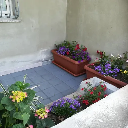Apartmán L Agrifoglio Di Rita Loddo
