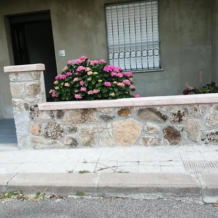 L Agrifoglio Di Rita Loddo Apartmán Fonni