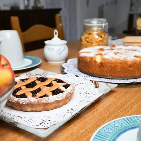 L Agrifoglio Di Rita Loddo Fonni