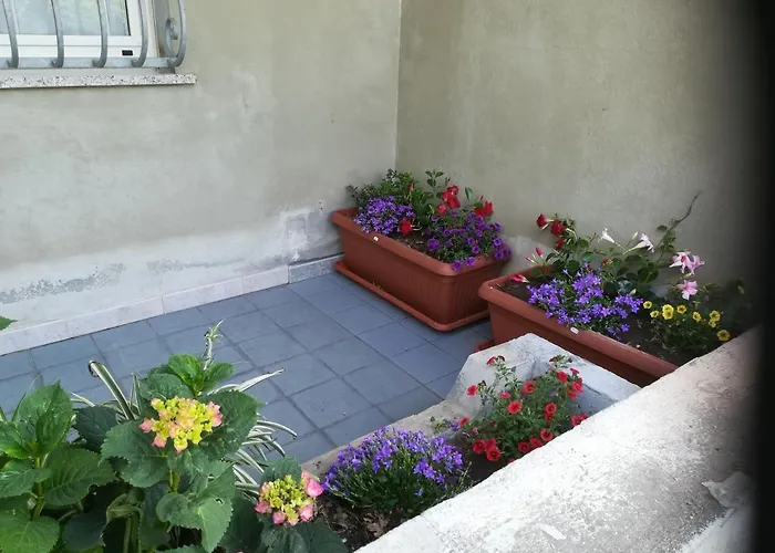 Apartman L Agrifoglio Di Rita Loddo