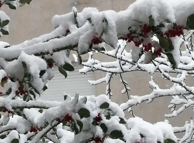 L Agrifoglio Di Rita Loddo 公寓 *