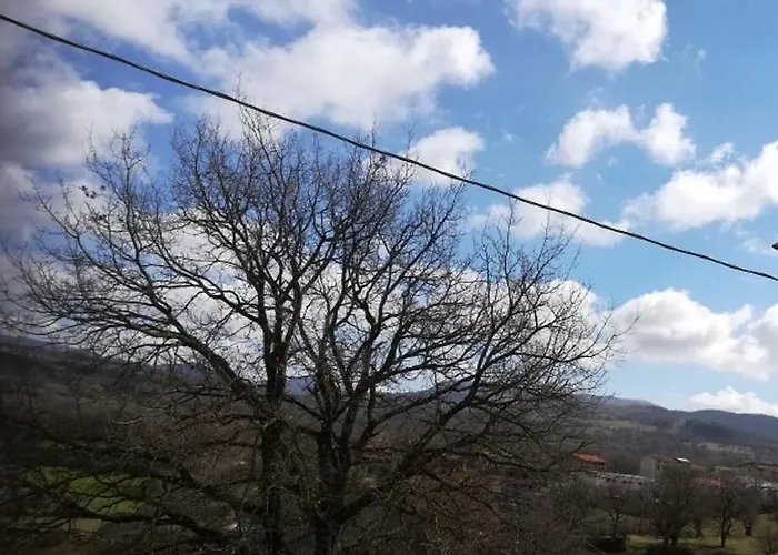 公寓 L Agrifoglio Di Rita Loddo 丰尼