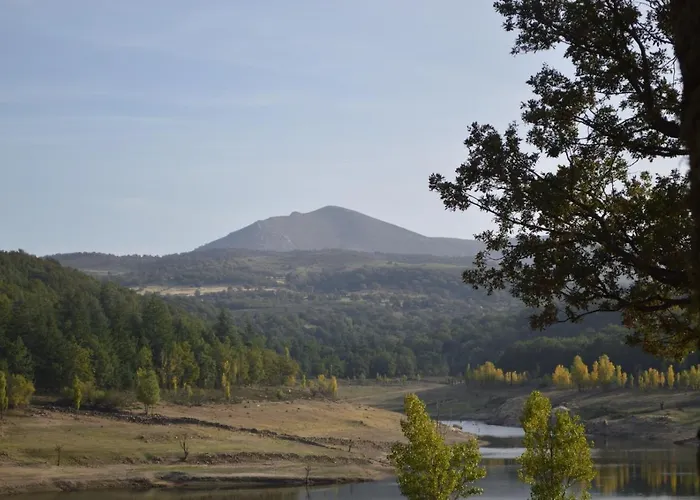 L Agrifoglio Di Rita Loddo 丰尼