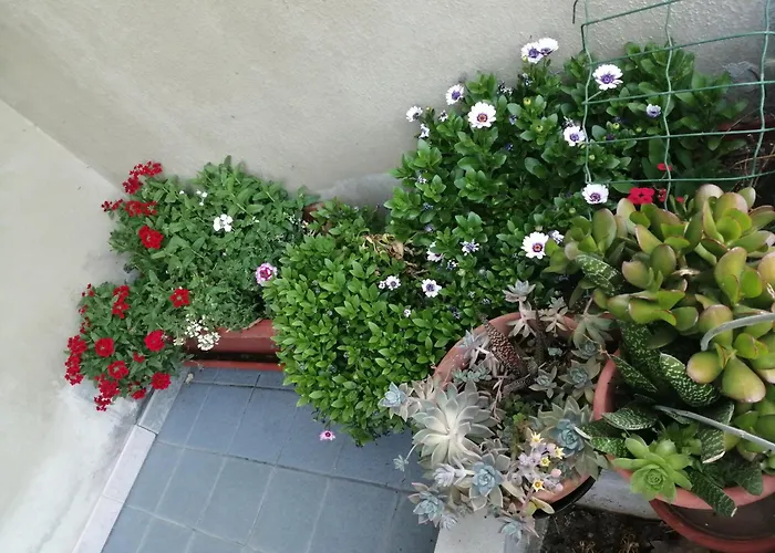 L Agrifoglio Di Rita Loddo 公寓 丰尼