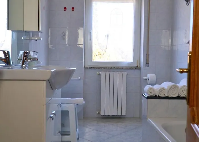 L Agrifoglio Di Rita Loddo *