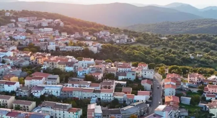 L Agrifoglio Di Rita Loddo * 丰尼